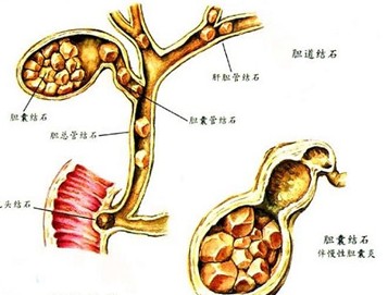 20120904155439.jpg